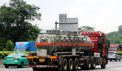 網購假證押運危化品，女子冒險上路終被重罰